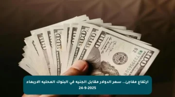 ارتفاع مفاجئ.. سعر الدولار مقابل الجنيه في البنوك المحلية الأربعاء 24-9-2025